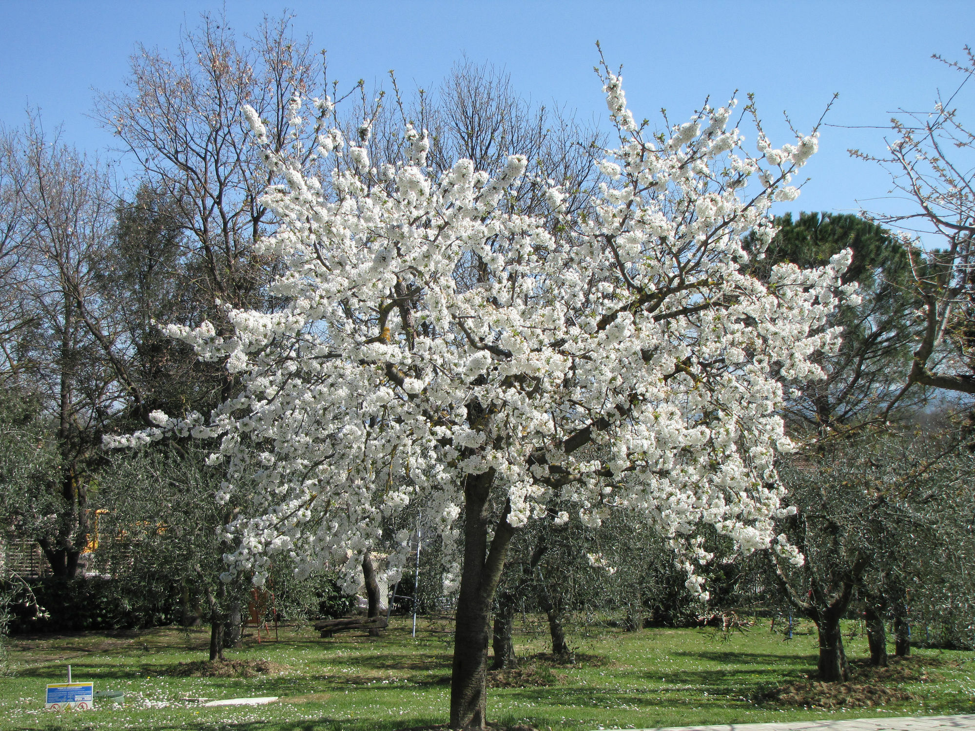 Poggio delle Rose Tuscany Relais Chianciano Terme Esterno foto